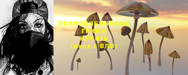 винт Алзамай